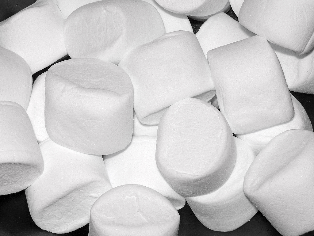 The Remarkable Parenting Wisdom You Can Gain From… A Marshmallow?